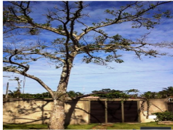 Venda em Jardim da canções - Bertioga