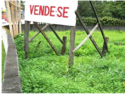 #325 - Área para Venda em Bertioga - SP - 1